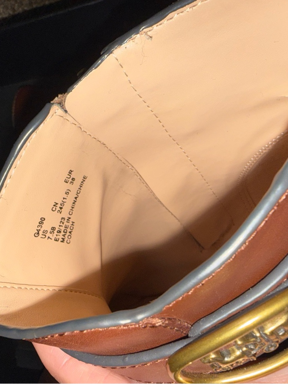 Coach Dylan Walnut Booties - Picture 12 of 16